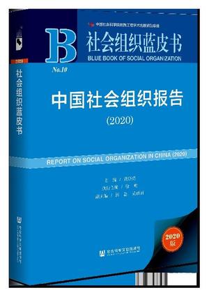 社会组织蓝皮书封面