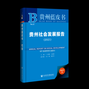 蓝皮书