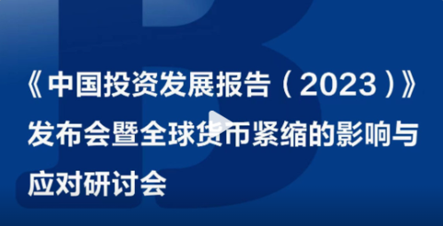 投资蓝皮书