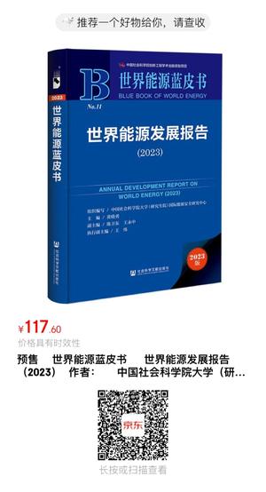 世界能源蓝皮书 世界能源蓝皮书