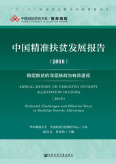 中国精准扶贫发展报告.2018：稳定脱贫的深层挑战与有效途径