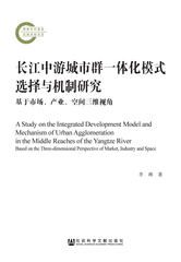 长江中游城市群一体化模式选择与机制研究