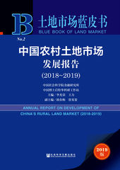中国农村土地市场发展报告（2018～2019）