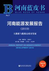 河南能源发展报告（2019）