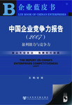 中国企业竞争力报告（2007）