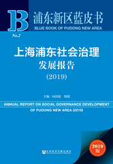 上海浦东社会治理发展报告（2019）