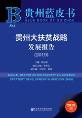 贵州大扶贫战略发展报告（2019）