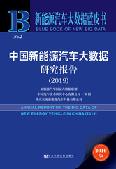 中国新能源汽车大数据研究报告（2019）