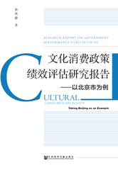 文化消费政策绩效评估研究报告