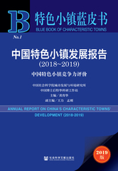 中国特色小镇发展报告（2018～2019）