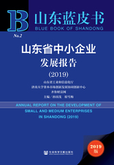 山东省中小企业发展报告（2019）