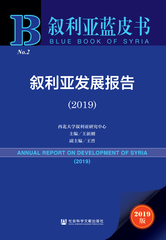 叙利亚发展报告（2019）