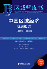 中国区域经济发展报告（2019～2020）