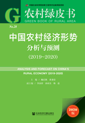中国农村经济形势分析与预测（2019～2020）