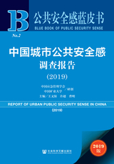 中国城市公共安全感调查报告（2019）