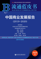 中国商业发展报告（2019～2020）