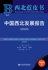 中国西北发展报告（2020）