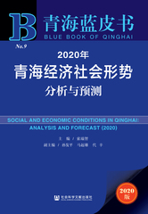2020年青海经济社会形势分析与预测