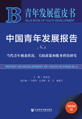 中国青年发展报告No.4