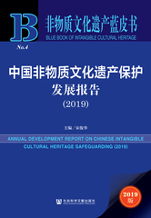 中国非物质文化遗产保护发展报告（2019）