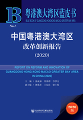 中国粤港澳大湾区改革创新报告（2020）