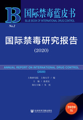 国际禁毒研究报告（2020）