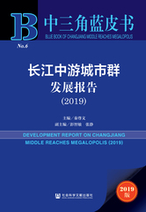 长江中游城市群发展报告（2019）
