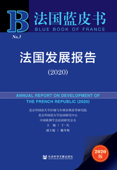 法国发展报告（2020）