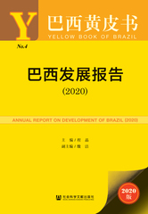 巴西发展报告（2020）