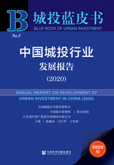 中国城投行业发展报告（2020）