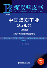 中国煤炭工业发展报告（2019）