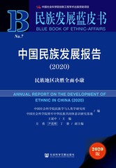 中国民族发展报告（2020）