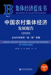 中国农村集体经济发展报告（2020）