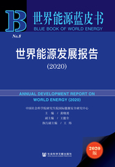 世界能源发展报告（2020）