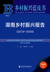 湖南乡村振兴报告（2019～2020）