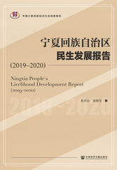 宁夏回族自治区民生发展报告（2019～2020）
