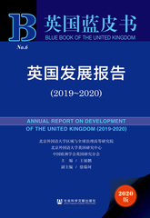 英国发展报告（2019～2020）