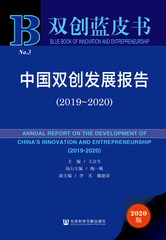 中国双创发展报告（2019～2020）