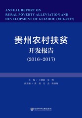 贵州农村扶贫开发报告（2016～2017）