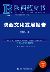 陕西文化发展报告（2021）