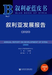 叙利亚发展报告（2020）