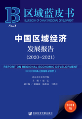 中国区域经济发展报告（2020～2021）