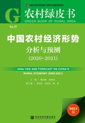 中国农村经济形势分析与预测（2020～2021）