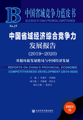 中国省域经济综合竞争力发展报告（2019～2020）