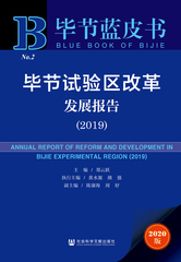 毕节试验区改革发展报告（2019）