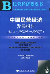 中国民营经济发展报告No.4（2006～2007）