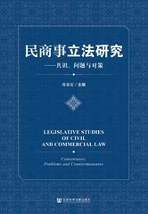 民商事立法研究：共识、问题与对策