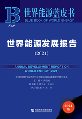 世界能源发展报告（2021）