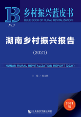湖南乡村振兴报告（2021）
