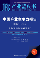 中国产业竞争力报告（2021）No.10